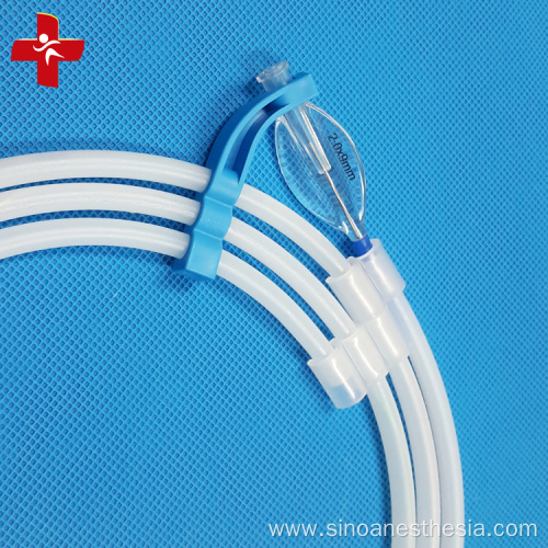 Intravascular PTCA Balloon Catheter